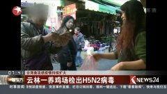 国产高清视频在线观看h,在线观看新体验